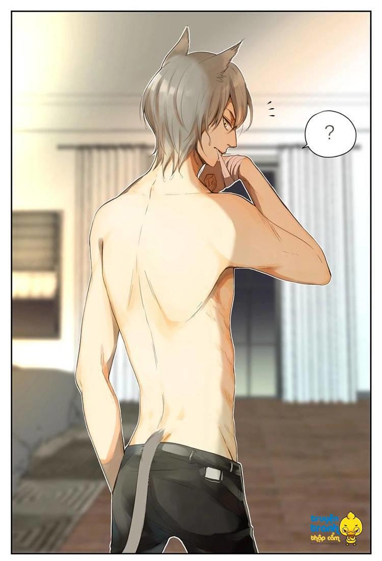cứu mạng ! loài mèo thống trị thế giới rồi ! chapter 30 7