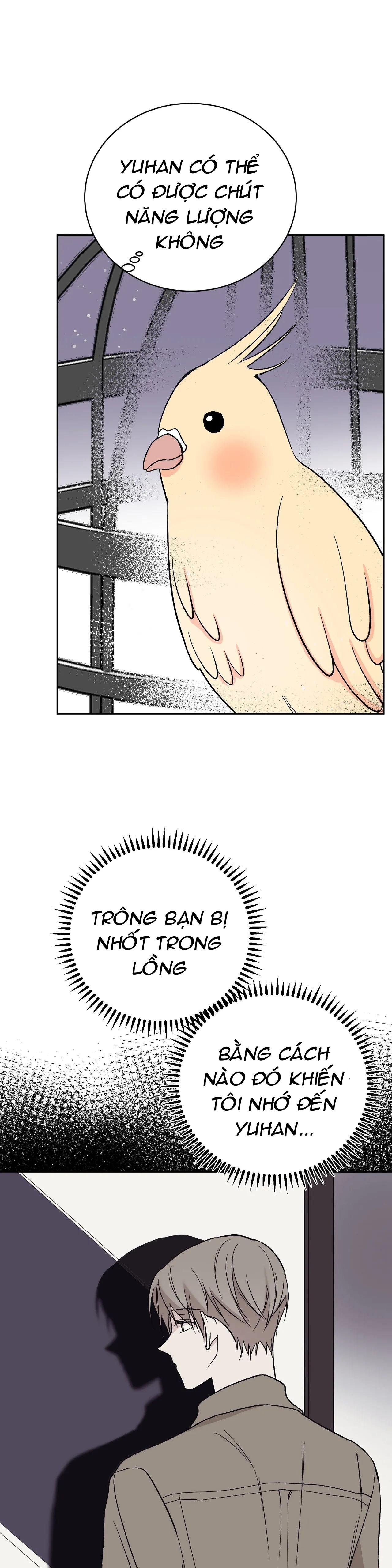 đảo ngược chapter 14 19