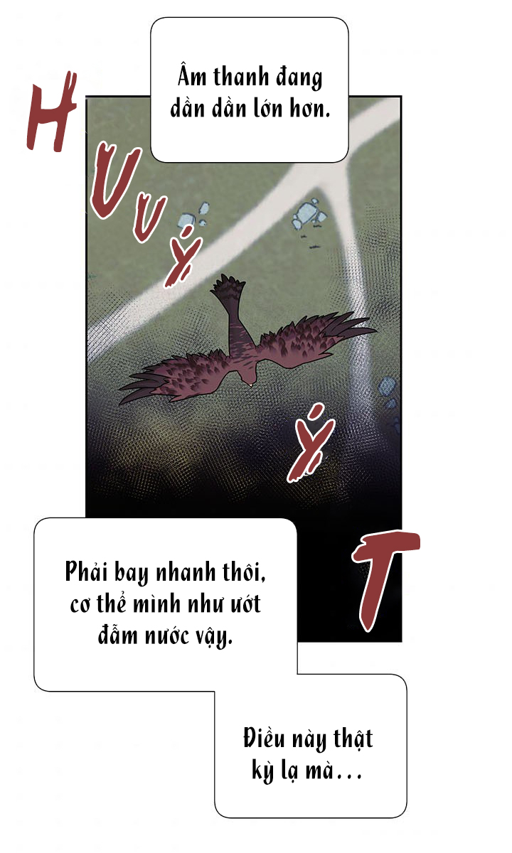 công chúa của loài chim chapter 11 35