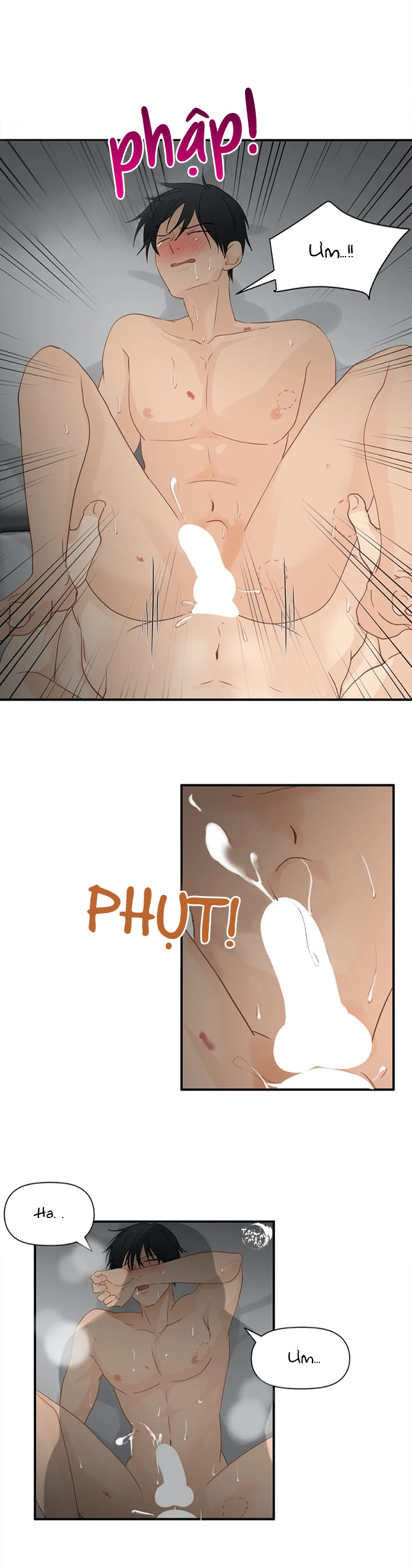 phi thường hoàn mỹ chapter 33 13