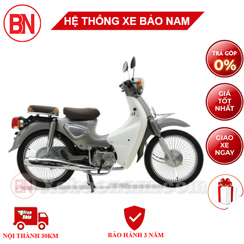 Xe Máy 50cc Cub New Ally - xám