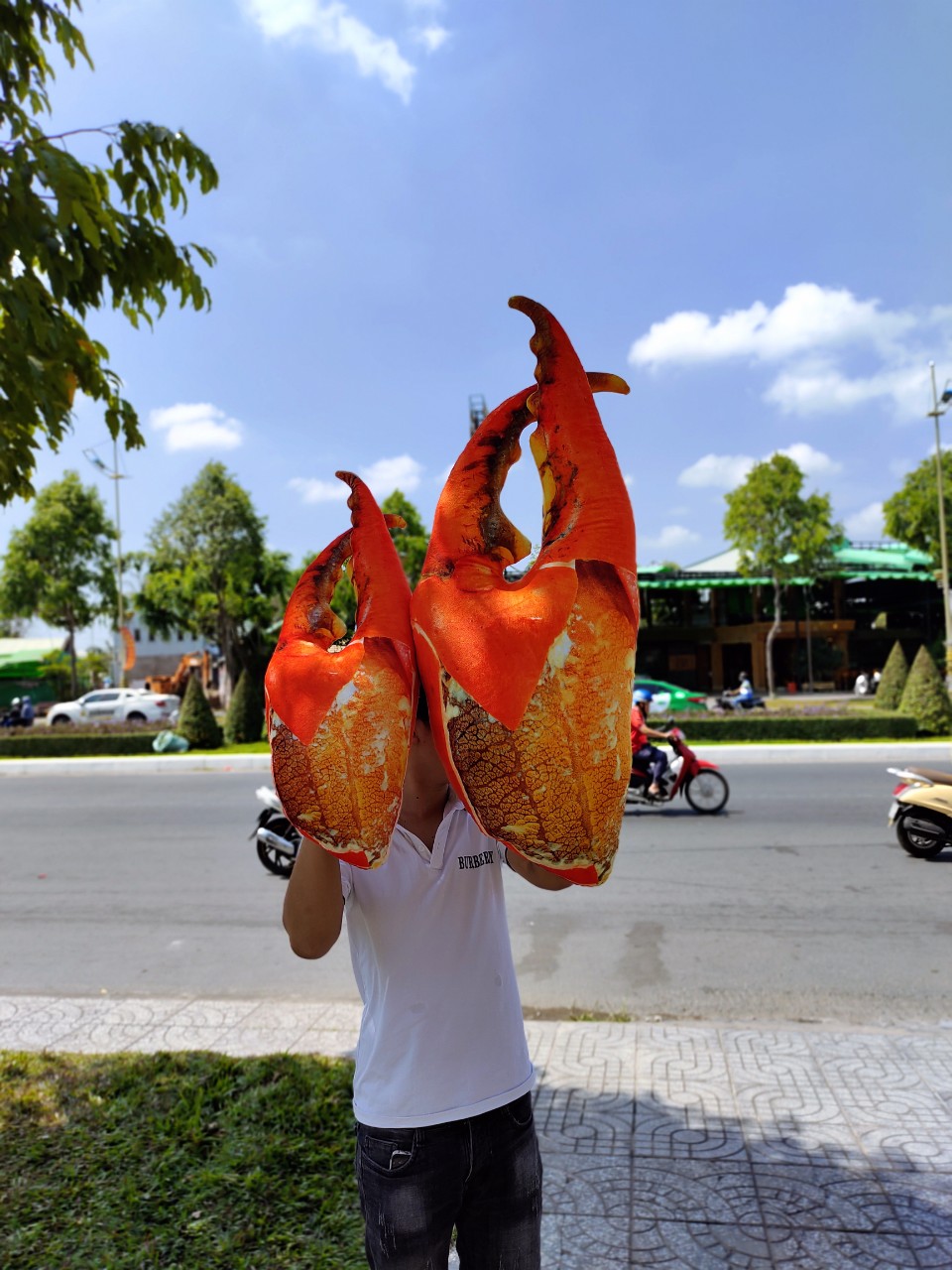 Gấu bông càng cua 3d gối ôm chất liệu vải nhung cao cấp siêu mịn hàng việt nam size 70cm-1m