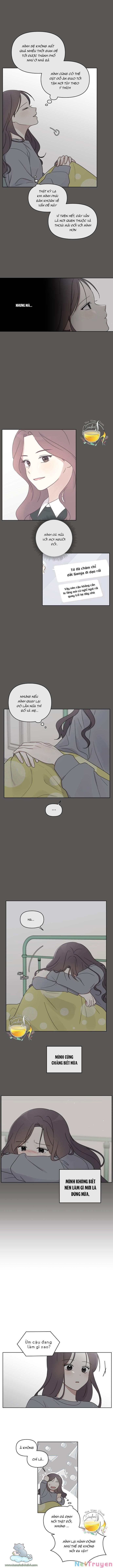 ngắm nhìn điều tuyệt vời nhất chapter 28 3