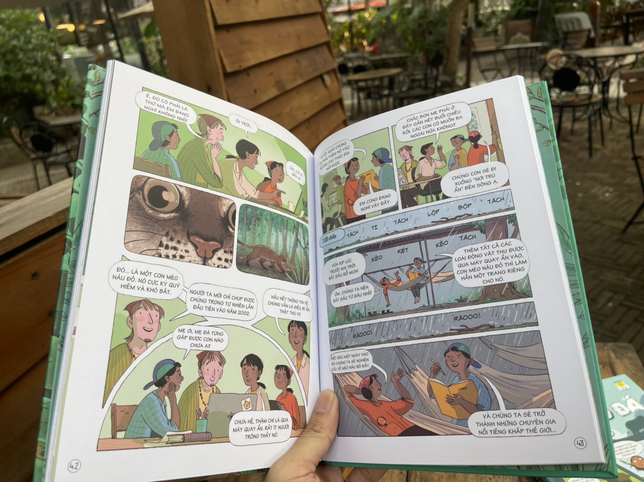24 GIỜ TRONG RỪNG NHIỆT ĐỚI – Lan Cook – Stacey Thomas minh họa – Đinh Tị Books – NXB Thanh Niên