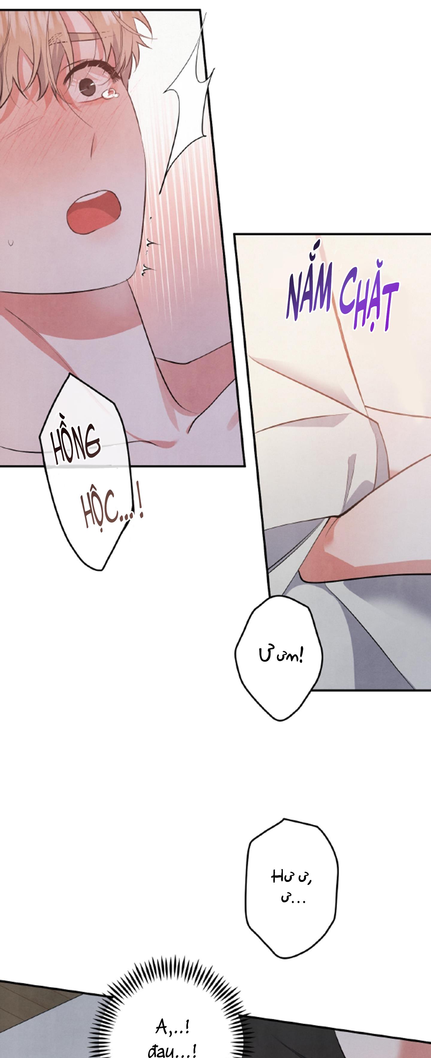 mối quan hệ ngu ngốc chapter 48 14