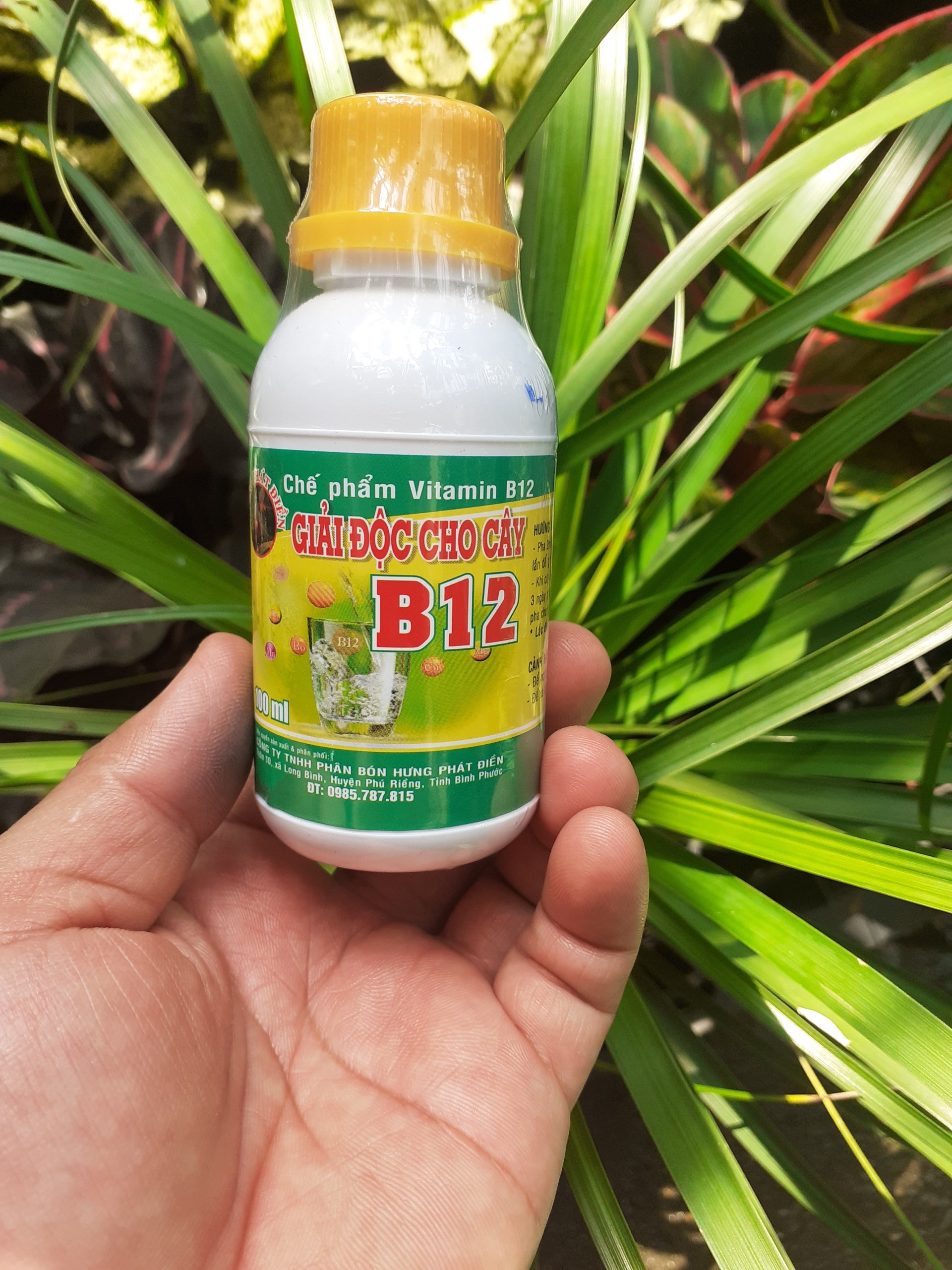 Vitamin B12 giải độc cho cây trồng