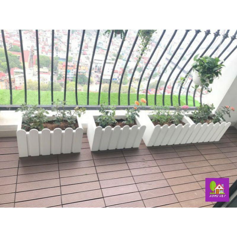 Chậu composize