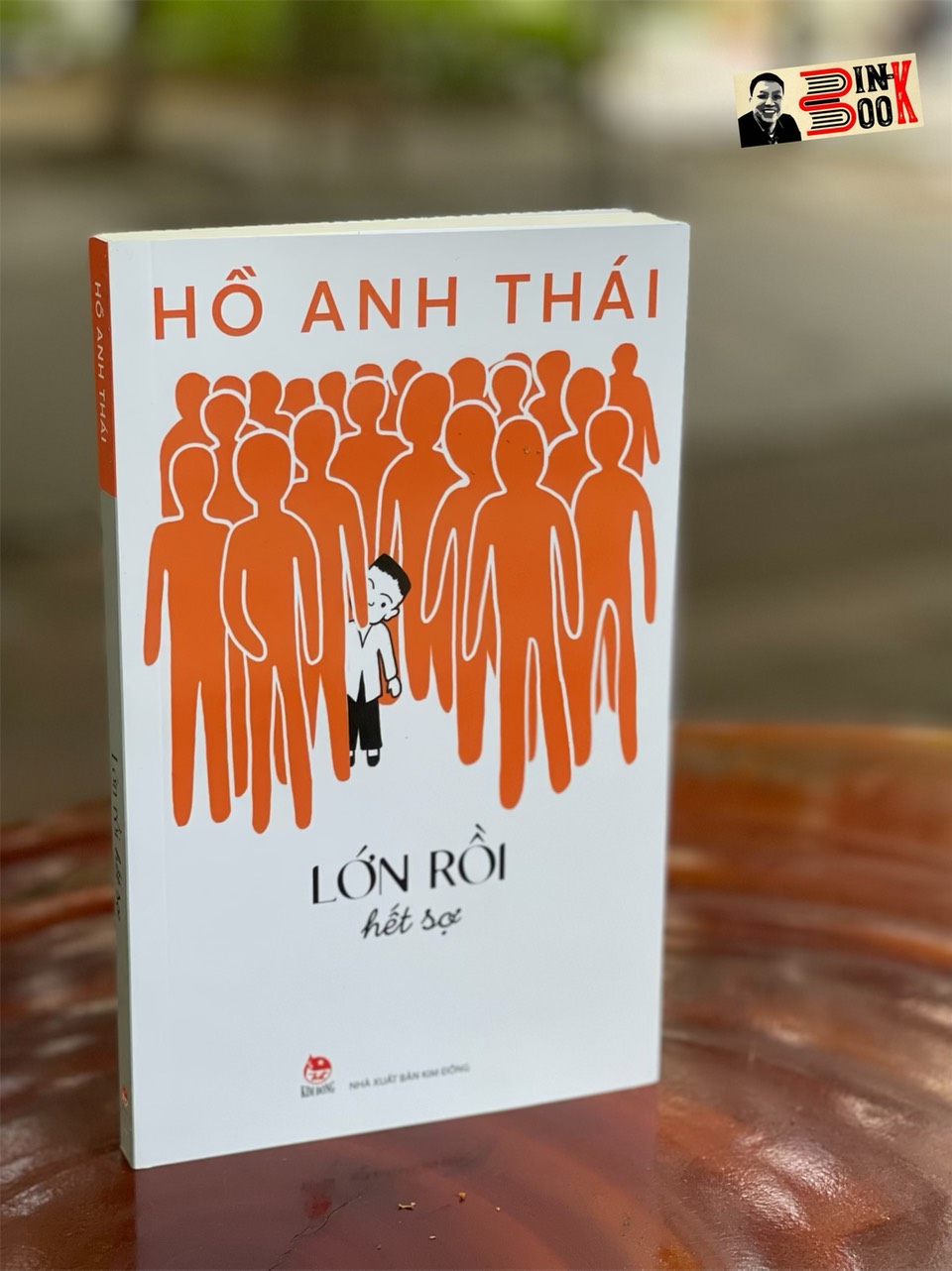 LỚN RỒI HẾT SỢ - Hồ Anh Thái – NXB Kim Đồng – bìa mềm