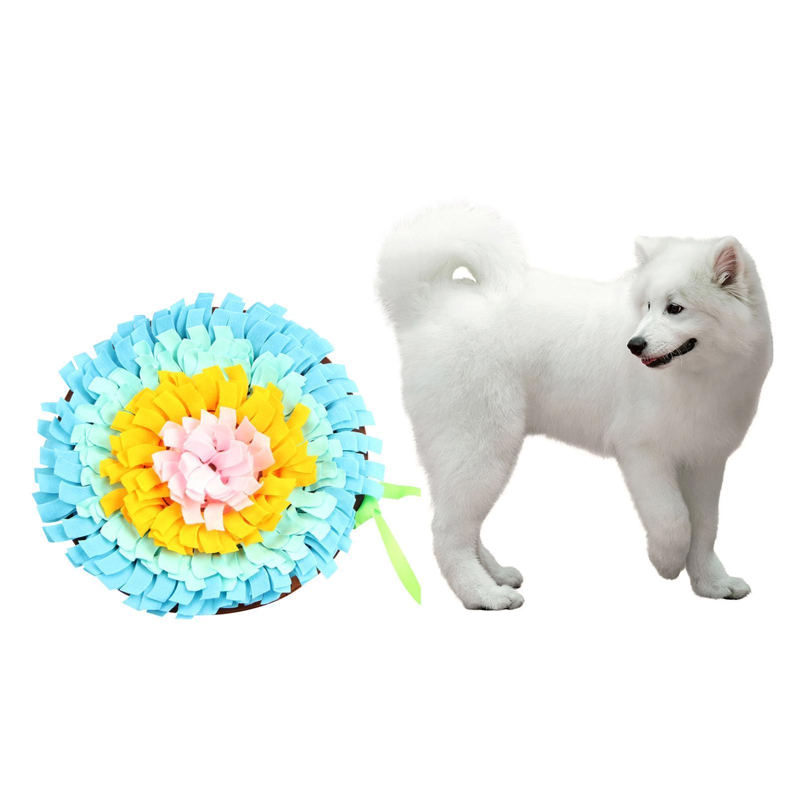 Pet Puppy Dog   Slow Feeder Foraging Skill