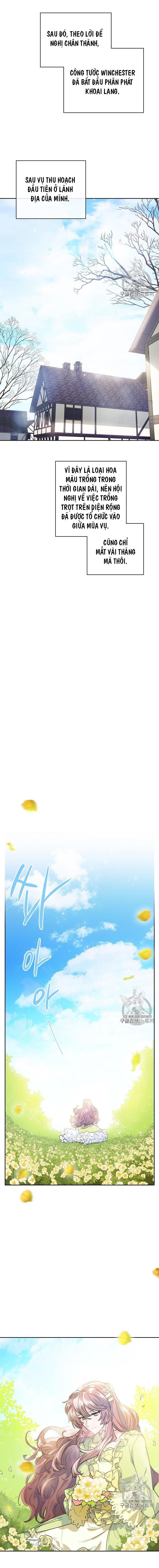 50 công thức pha trà của nữ công tước chapter 81 14