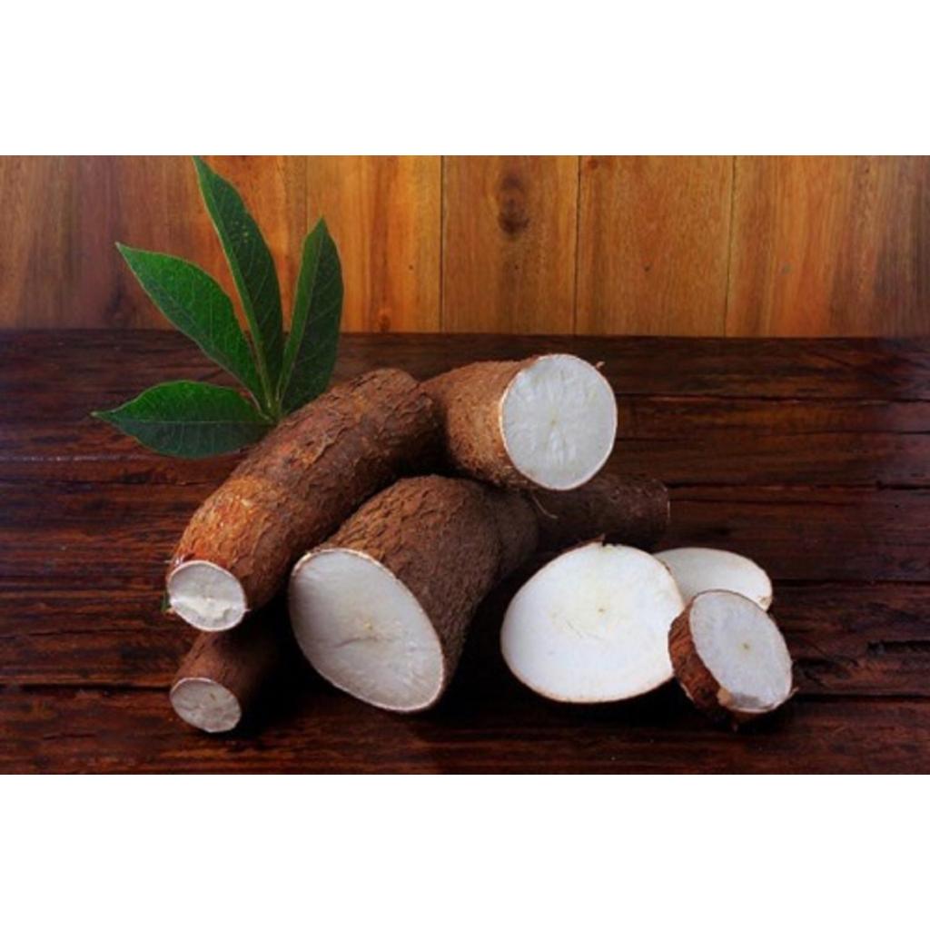 COMBO 6 KG CỦ KHOAI MÌ RUỘT TRẮNG bở Thái Lan.
