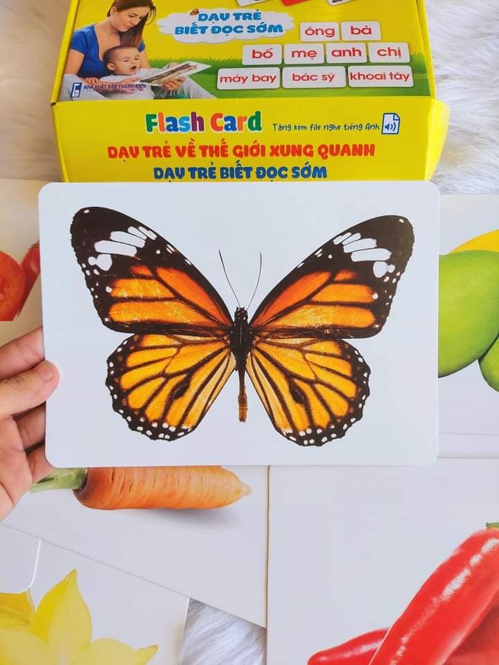Bộ 100 Thẻ Học Thông Minh Cho Bé, Flashcard Song Ngữ Cho Bé Với 14 Chủ Đề Thế Giới Xunh Quanh Khổ A5 21x15cm