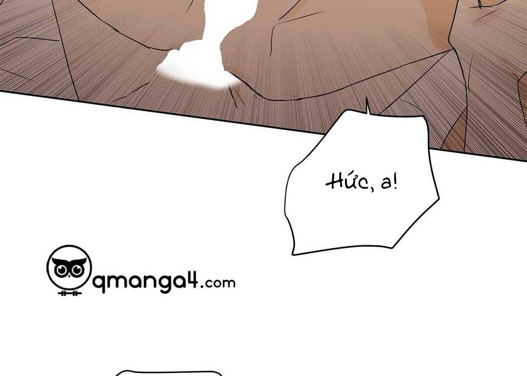 guide cấp b chapter 38 145