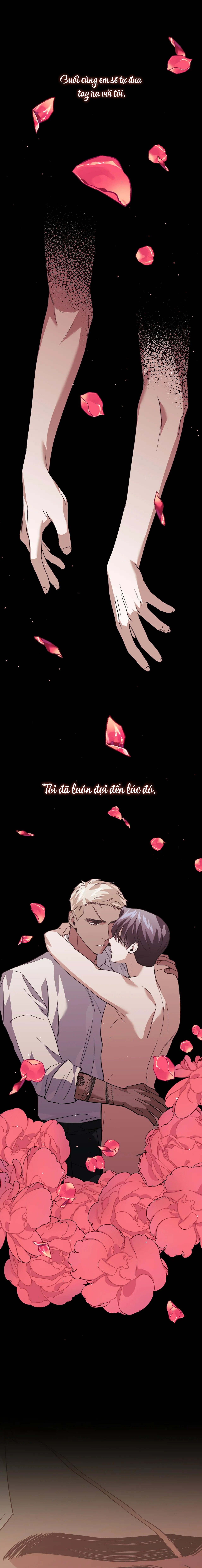 hoa lan tây chapter 29 5