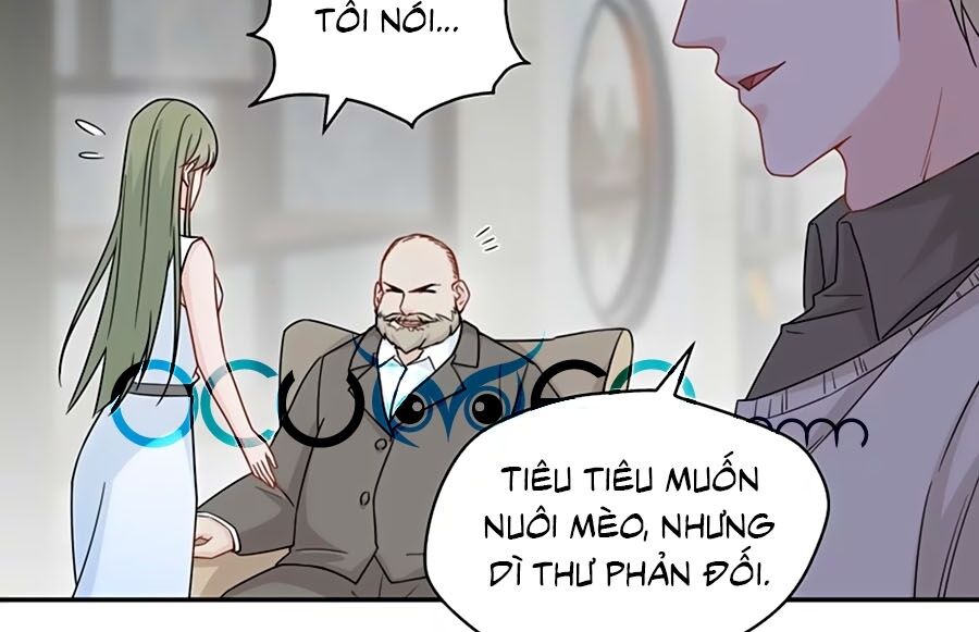 thiên kim bất lương chapter 42 17