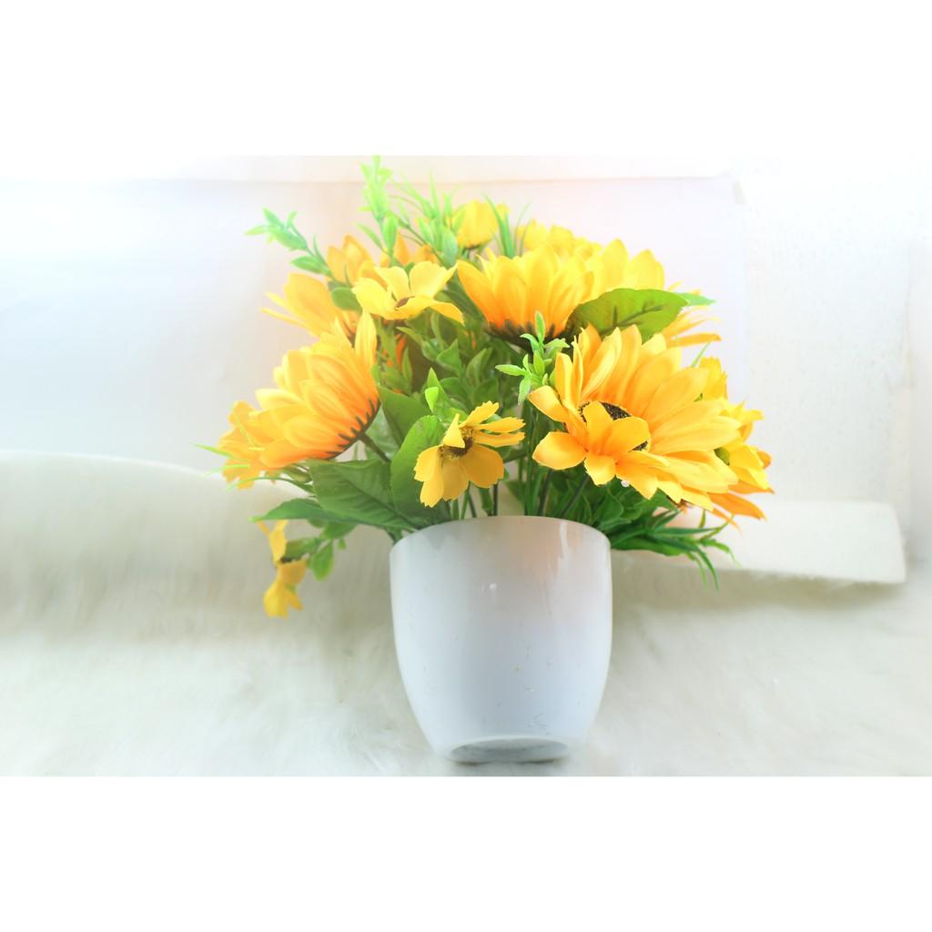 Chậu hướng dương nhỏ để bàn