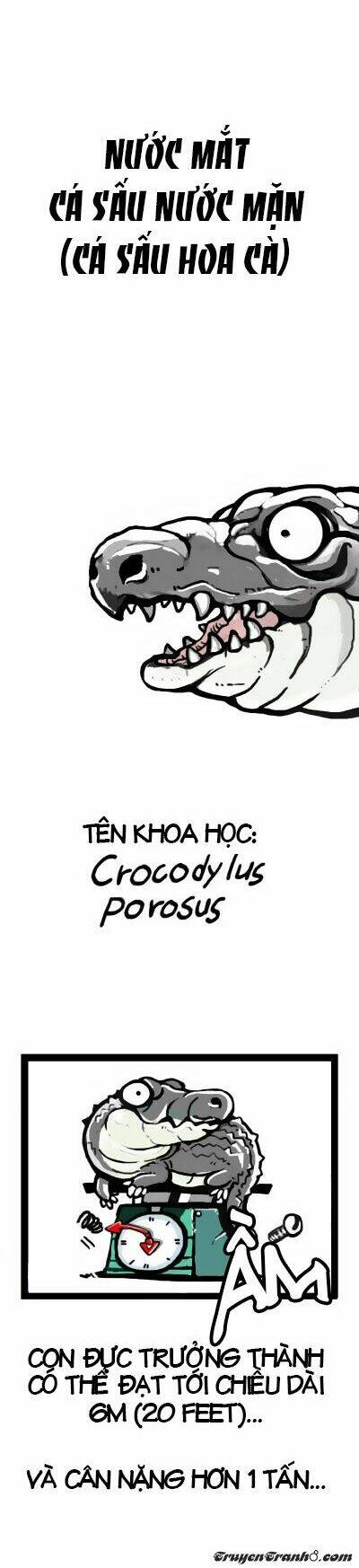 earth, human, and animal chapter 6 3