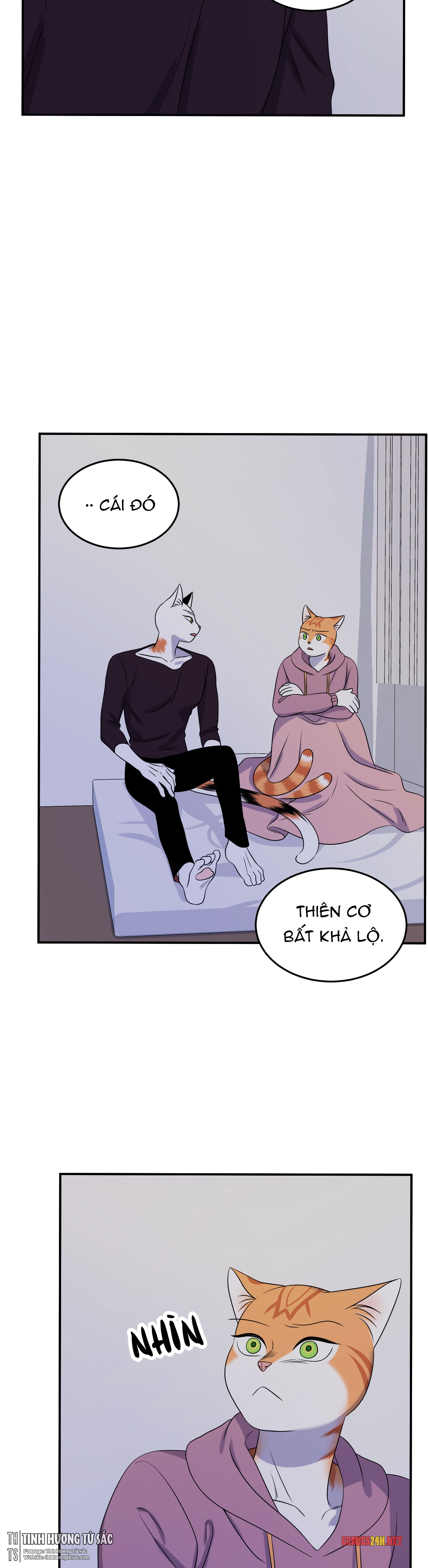 dự án xanh chapter 15 17