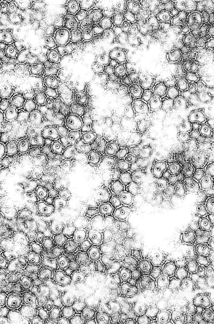 kansen rettou chapter 5 32