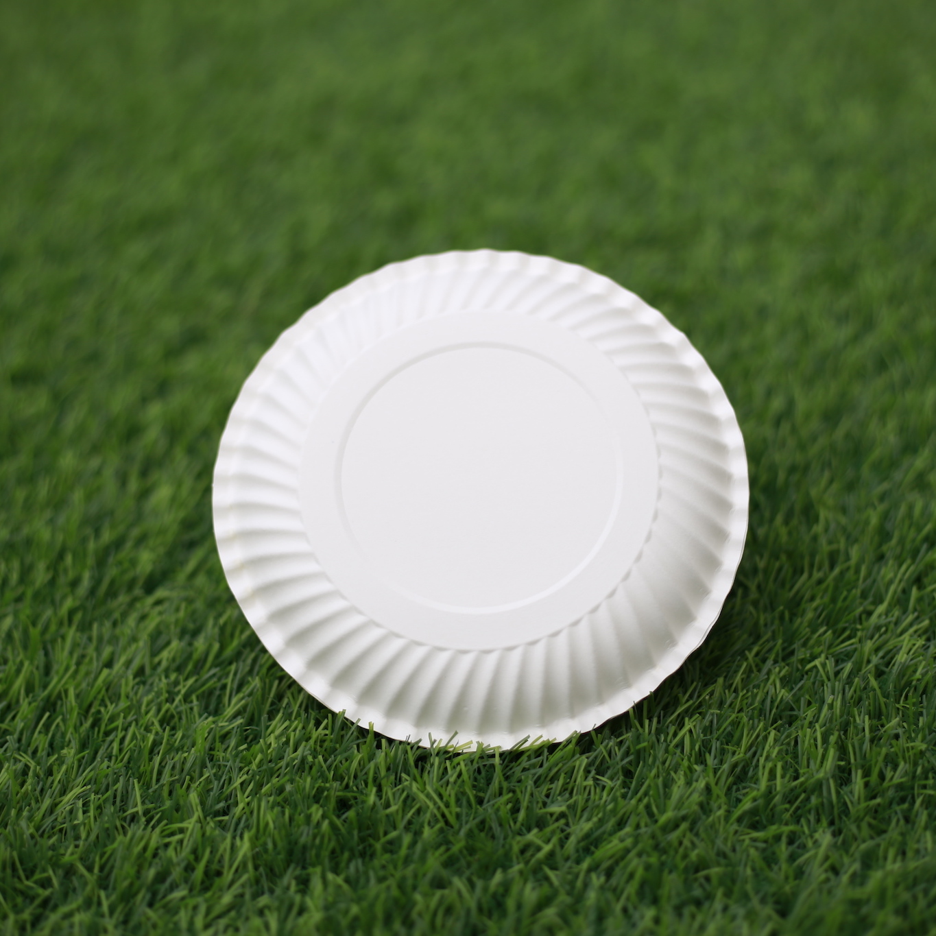 COMBO 100 DĨA GIẤY TRẮNG CAO CẤP 13cm - Paper plate