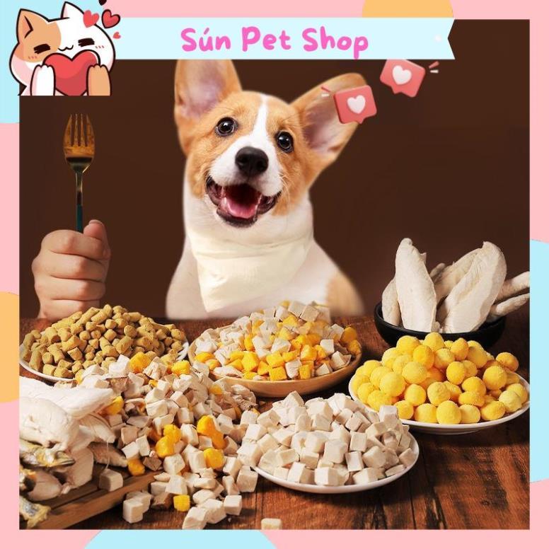 Thức ăn sấy khô cho chó mèo