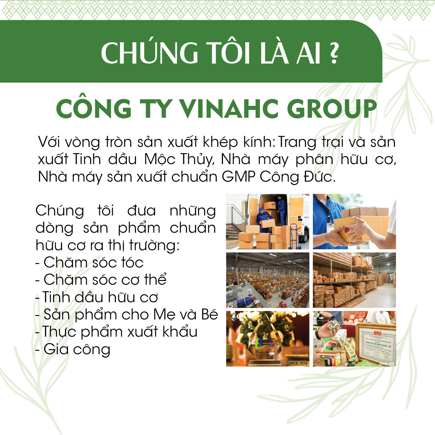 Xịt khử mùi giày và chân 24Care 50ml/100ml-lưu hương, sạch khuẩn chiết xuất tinh dầu thảo mộc