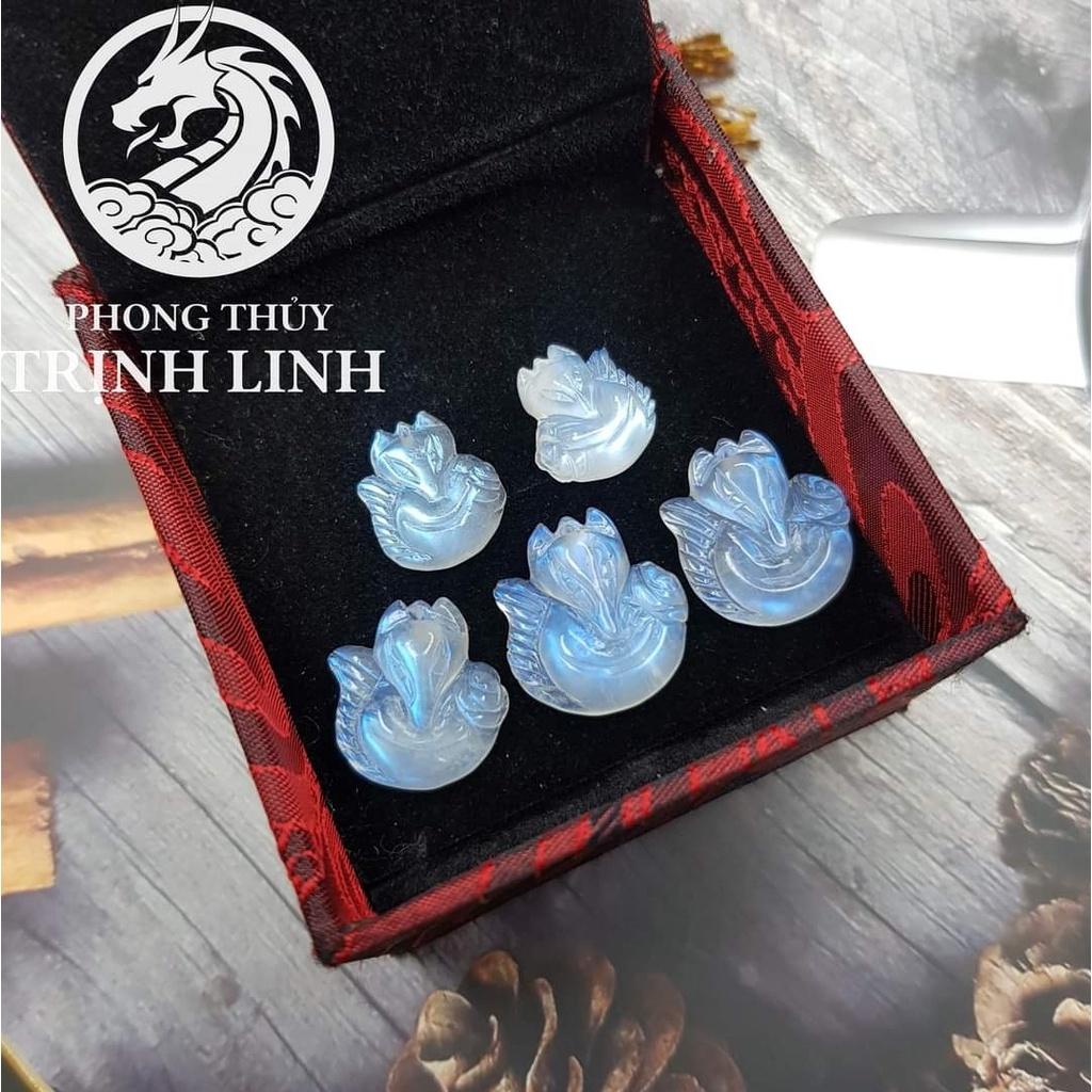 Hồ ly Mặt trăng