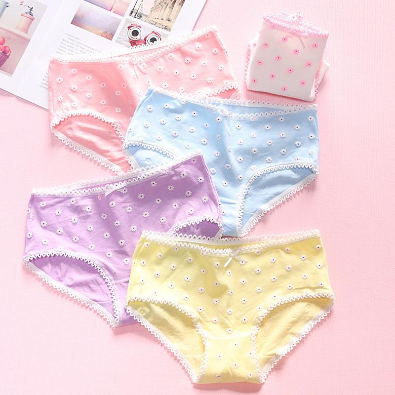 Quần Lót Nữ Cotton Kháng Khuẩn Hình Hoa Nổi Xuất Hàn Hàng Loại Đẹp.