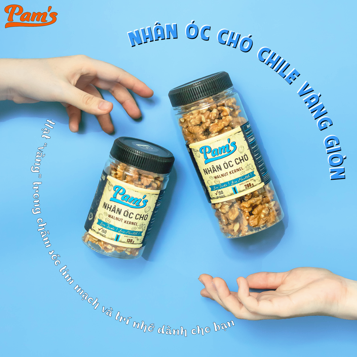 Nhân Hạt Óc Chó Vàng Pams,Hạt Óc Chó Chile Tách Vỏ Tốt Cho Mẹ Bầu và Trí Nhớ , Chất Lượng Cao, Giòn Béo, Thơm Ngon