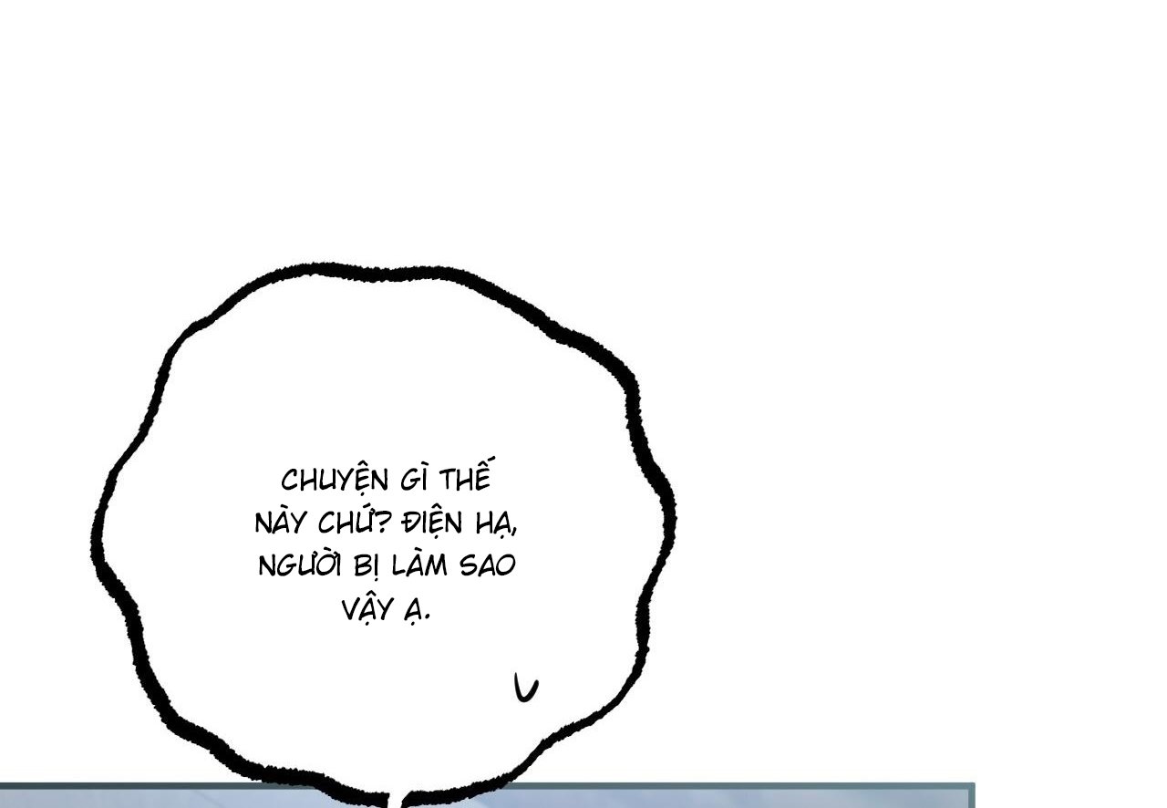 những chú thỏ của hapypy chapter 60 42