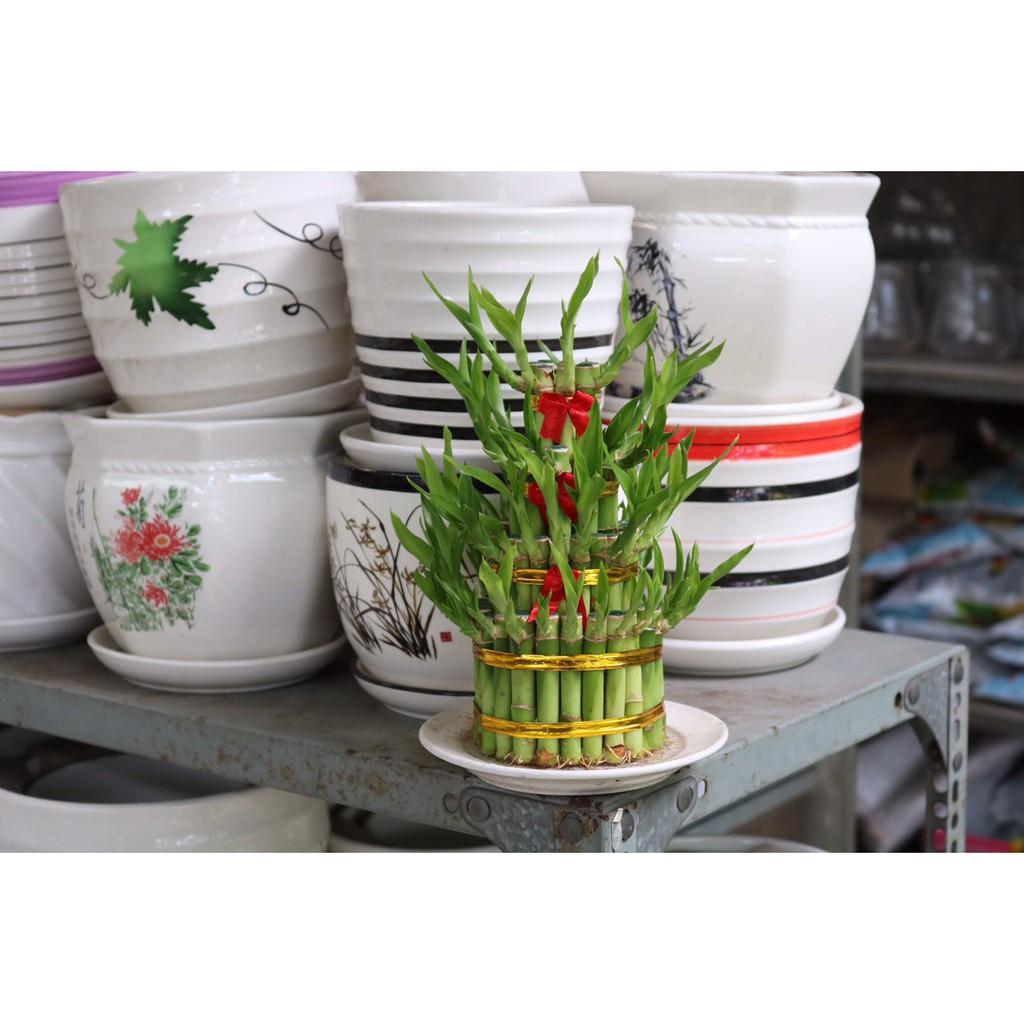Chậu Trúc Phú Quý 4 tầng