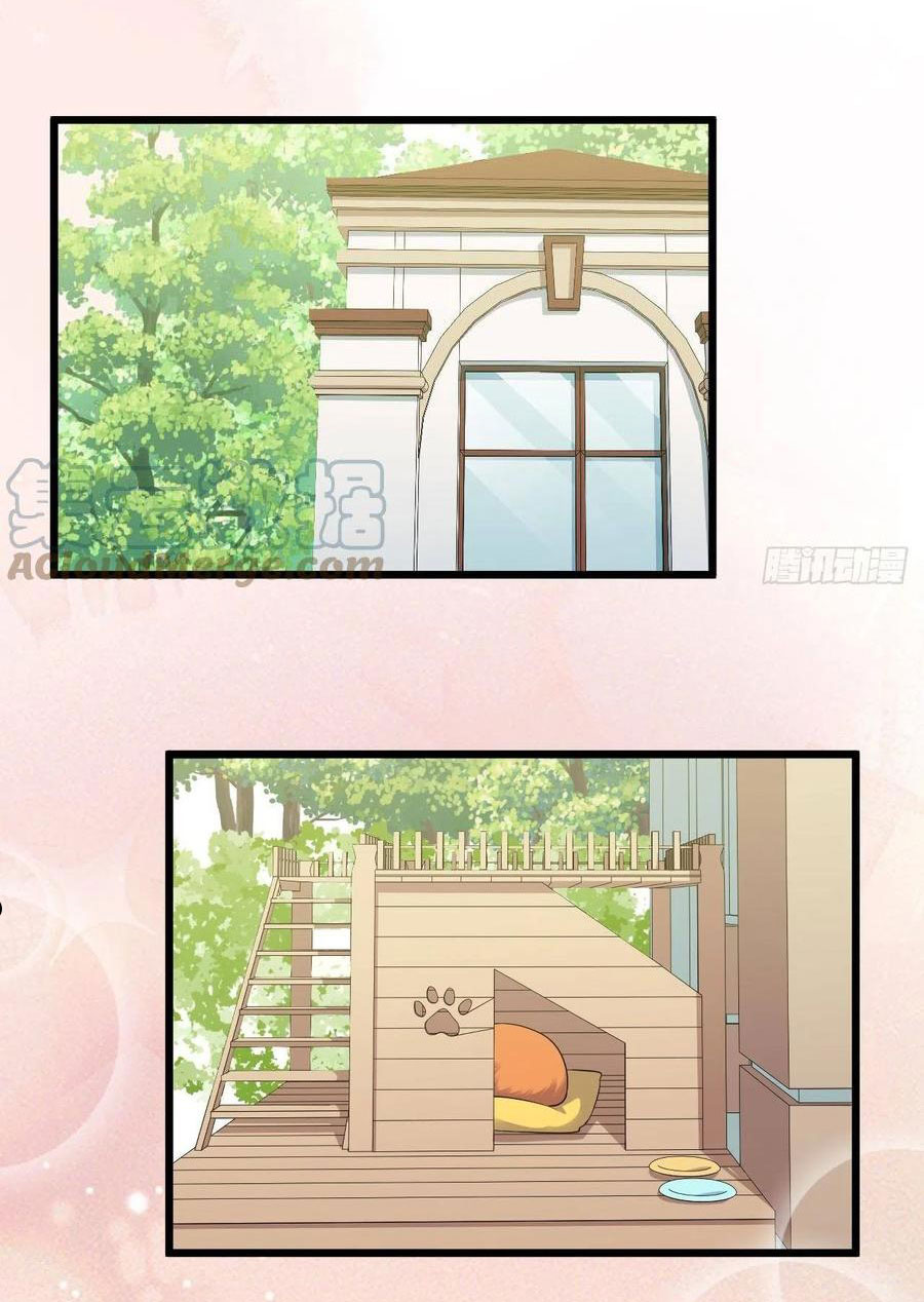 bố vợ đại nhân là bà xã chapter 207 39