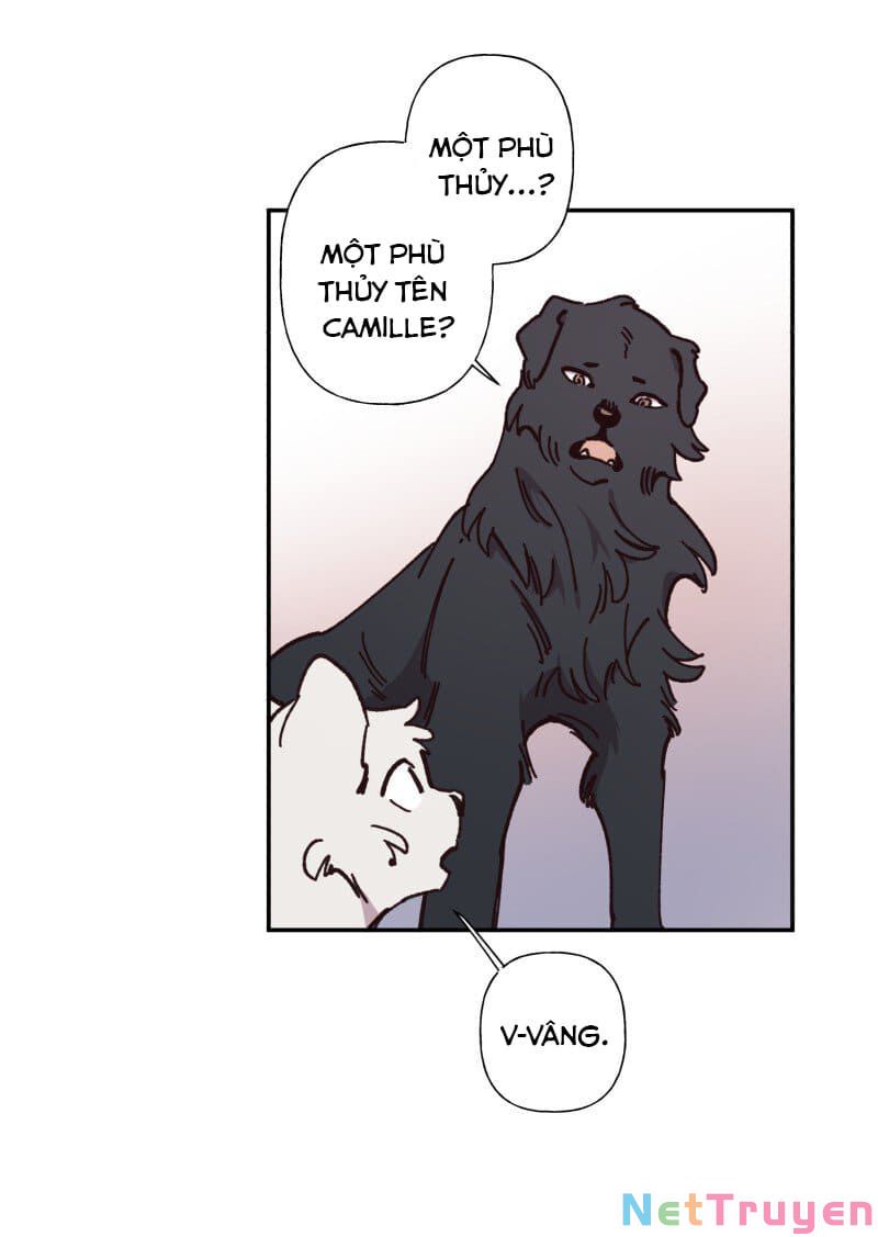 lumine - cội nguồn ánh sáng chapter 82 16