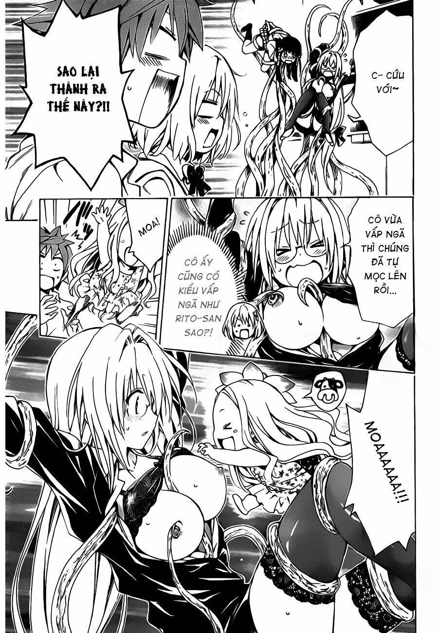 bọn tớ thích cậu! rito 2 - venus chapter 19 24