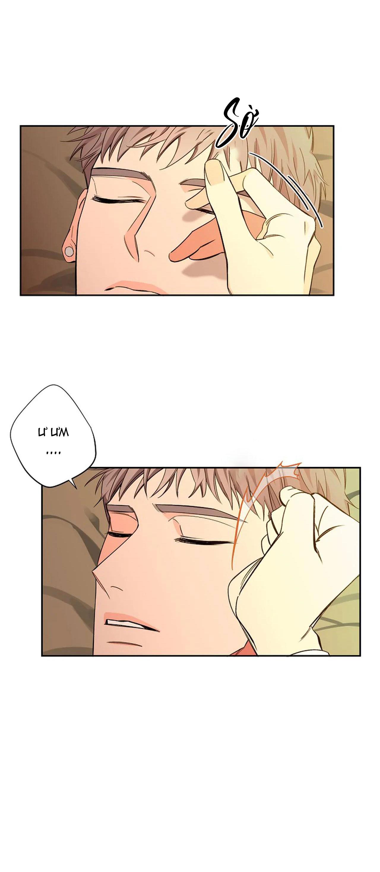 đêm dịu dàng chapter 45 9