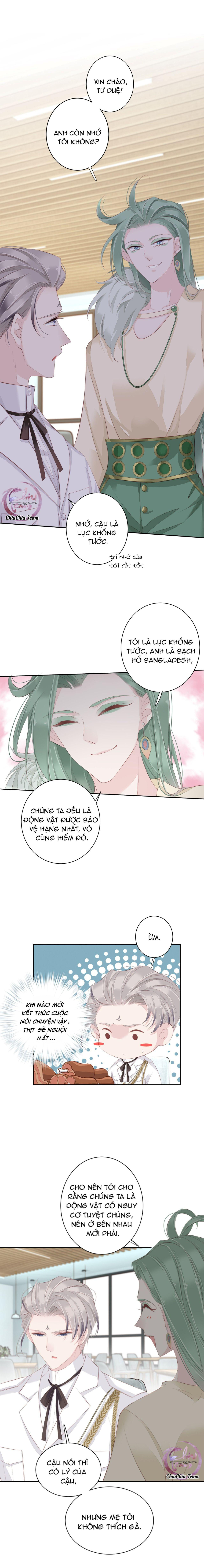 cuộc mai mối vượt giống loài chapter 3 8