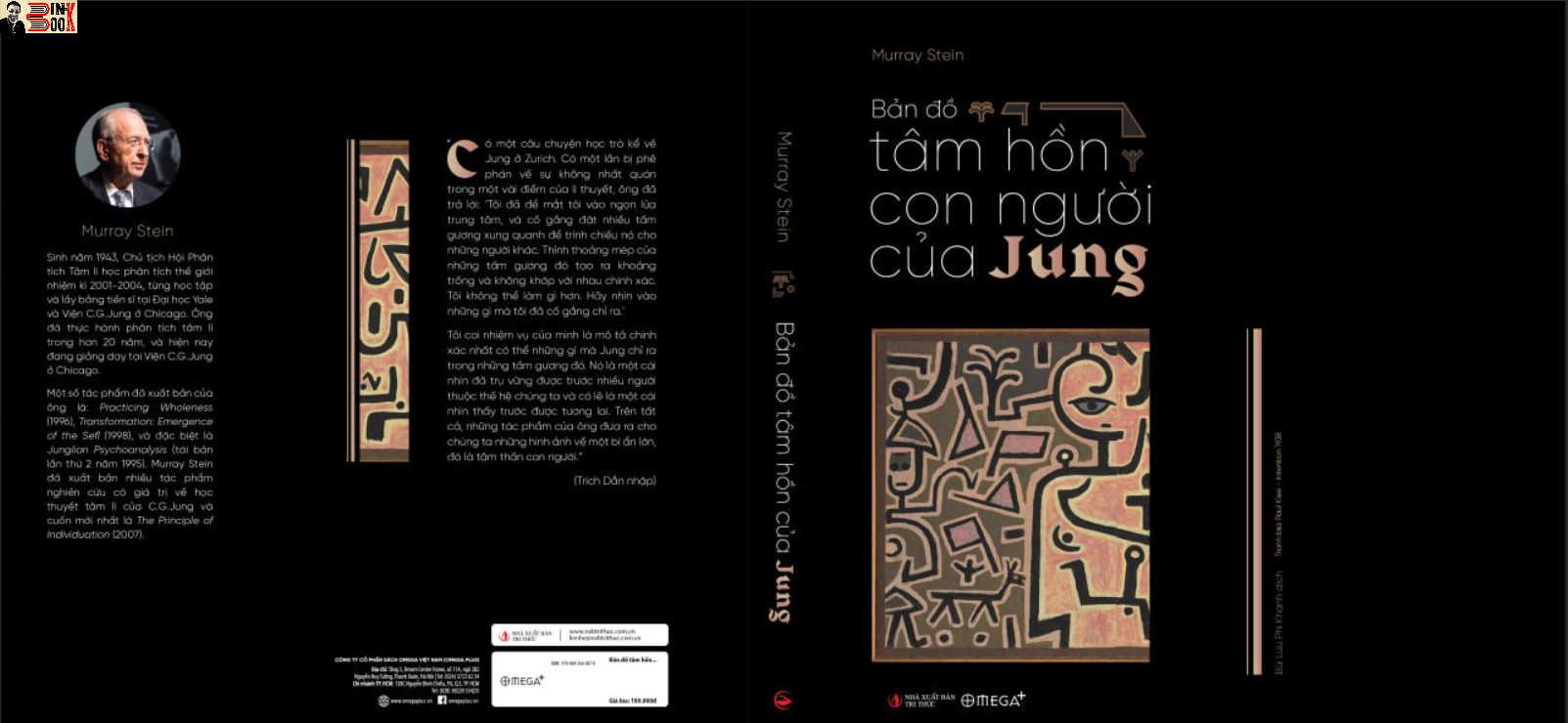 BẢN ĐỒ TÂM HỒN CON NGƯỜI CỦA JUNG - Murray Stein - Đặng Quân dịch - Omega+ - bìa mềm