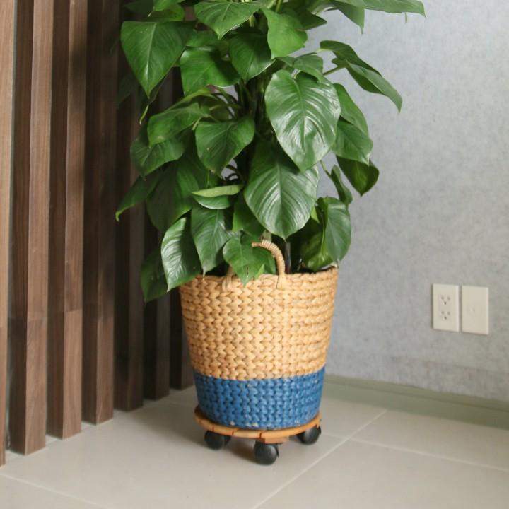 Combo 2 Đế Tròn nâng chậu cây di động