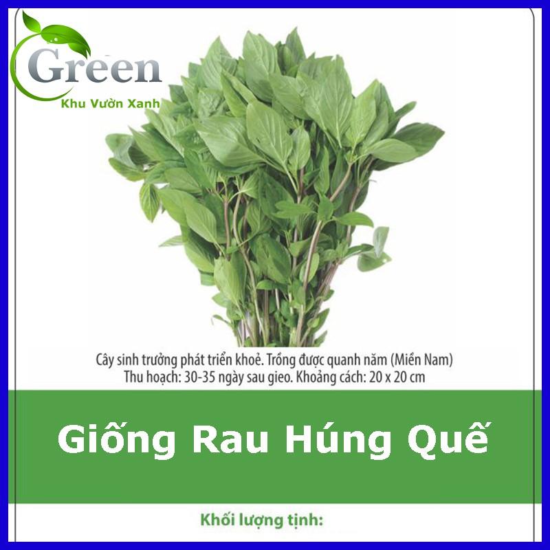 Hạt Giống Rau Húng Quế Lá To (10G)