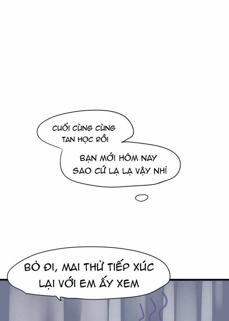 tiểu miêu và hắc diệu thạch chapter 19 22
