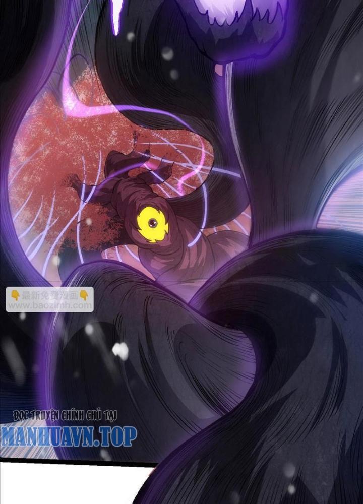 từ cây cổ thụ bắt đầu tiến hóa chapter 96 116