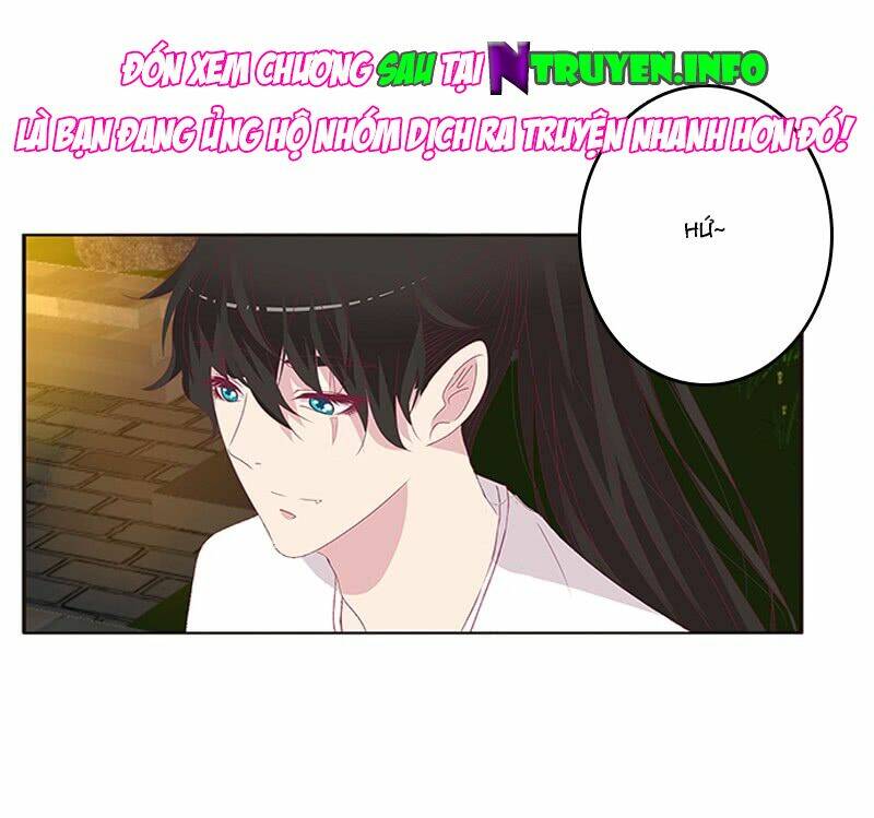 tướng quân mời ra trận chapter 117 16