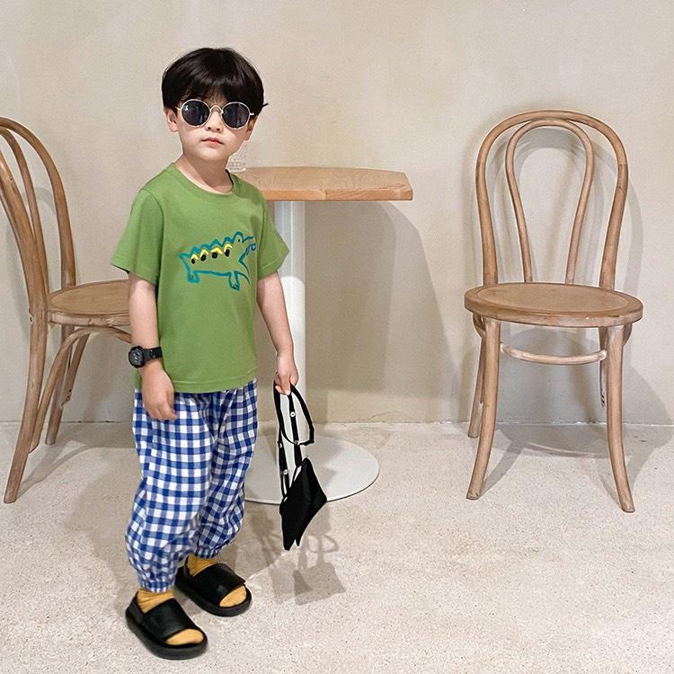 Áo phông trẻ em cộc tay, áo thun bé trai 10-33kg