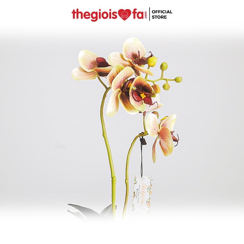 Bình hoa thuỷ tinh phong cách Bắc Âu Orchid 2001