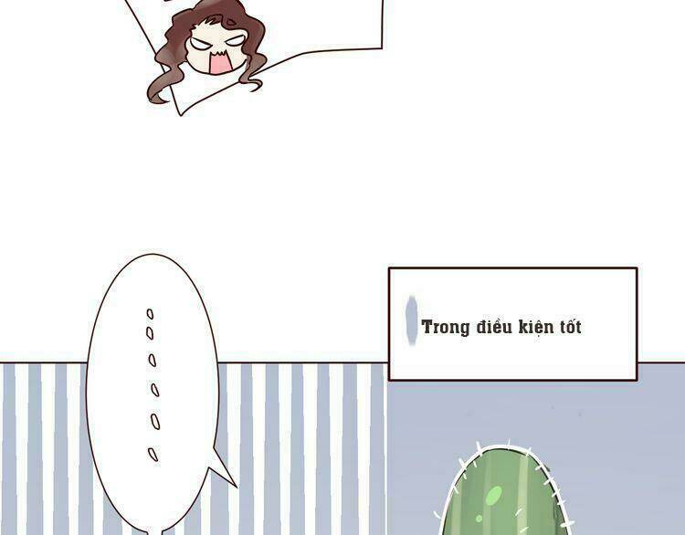 tiên thảo có linh hồn chapter 1 24