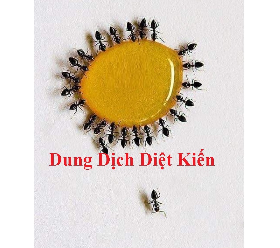 Combo 3 lọ Thuốc diệt kiến gián sinh học Hanpet- Dung dịch diệt kiến tận gốc