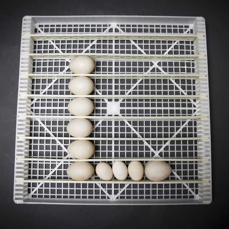 Máy ấp trứng Delta -H10 [1000 trứng] - Hàng chính hãng