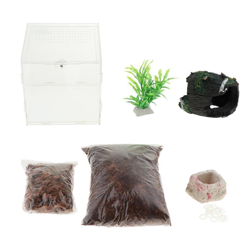 Reptiles Amphibians Habitat Terrarium Vivarium Tank Breeding Box Bark