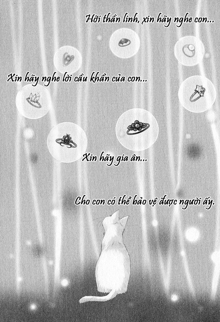 sakura no nekohime chapter 1 7