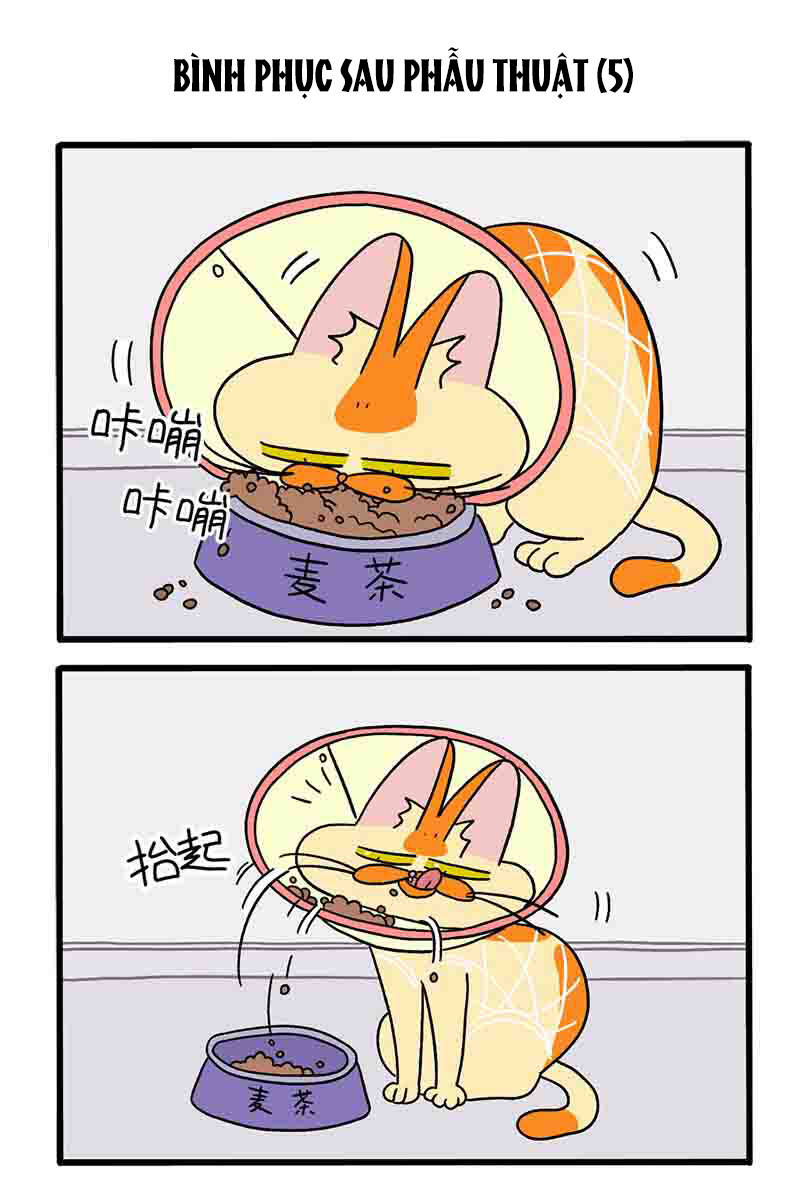 a mãn và mạch trà chapter 23.1 3